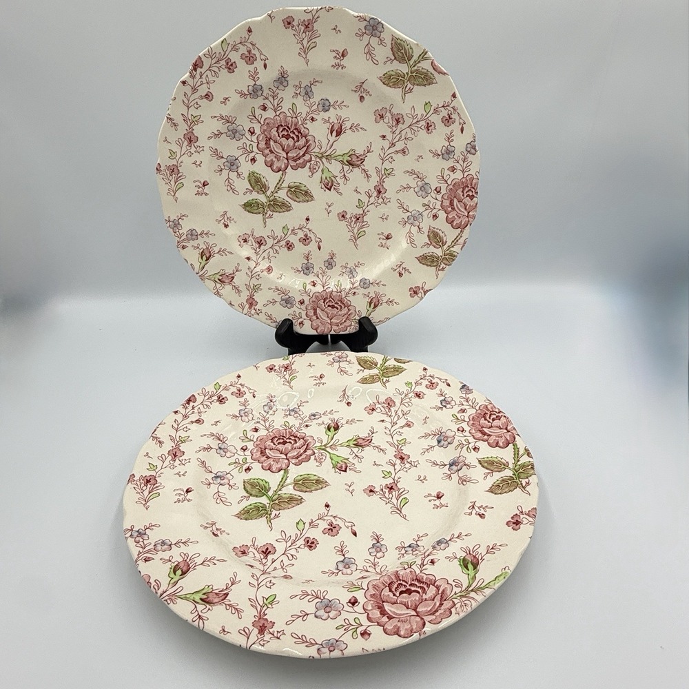 VTG Johnson Bros Rose Chintz Ironstone Dinner Plates 9 7/8" Set 2 AS IS England